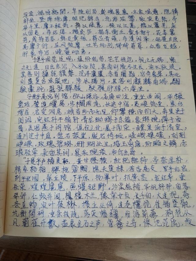 女生手抄上林赋是什么寓意，为什么要抄上林赋（手抄《上林赋》）