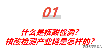 核酸检测里的芯片，你了解多少？