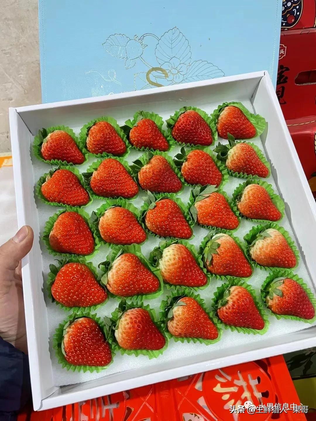 浆果是什么，浆果是什么软件（不同水果的不同包装<浆果篇>）