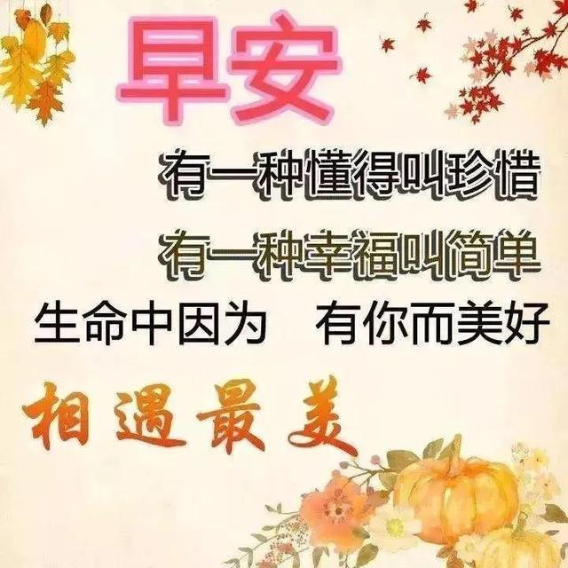 我今天为你祝福，我今天为你祝福歌词（感恩有你早晨问候祝福语）