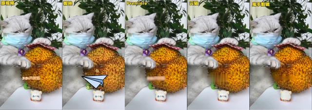 抖音上作者加的字幕怎么去掉，视频怎么加字幕（TikTok和抖音短视频运营去除中文字幕方法对比）