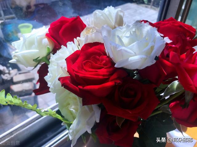 生日祝福语问候语短信大全，问候生日的祝福短信（生日快乐的新颖且内涵的祝福语）