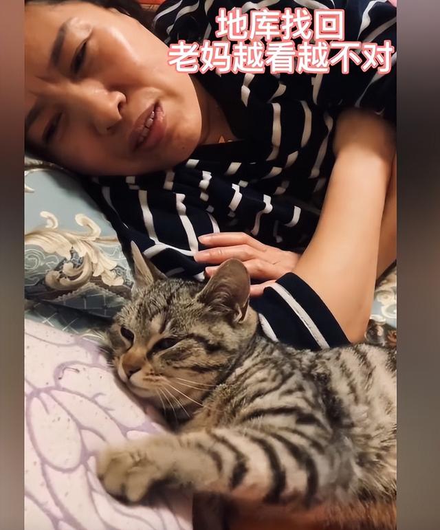 如何寻找相同的图片，如何找到相同图片（网友：这长得也太不一样了吧）