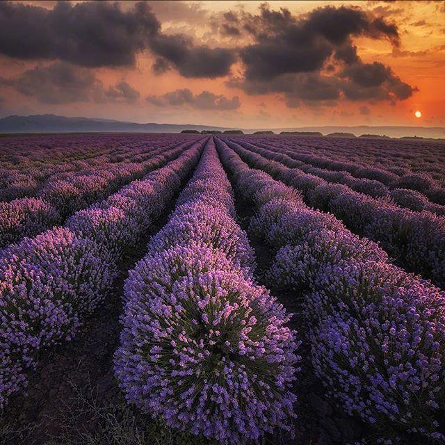 生活压力感悟经典句子，生活的压力经典句子（释放压力的人生哲理语录）