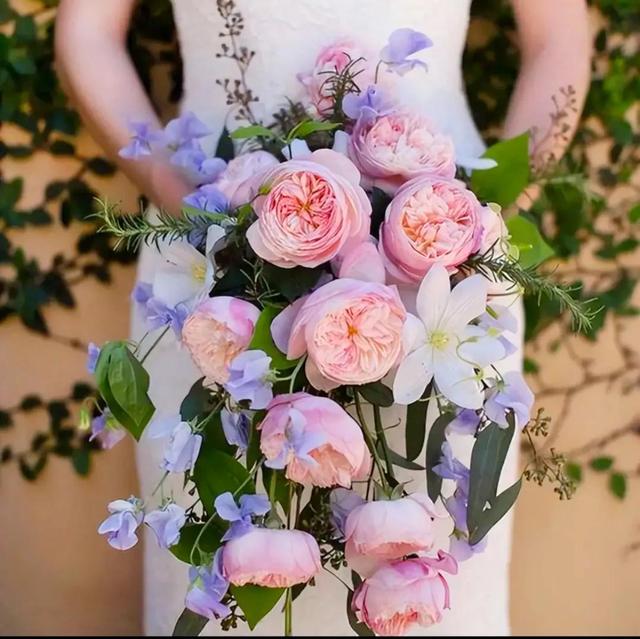 繁花似锦下一句是什么，一路繁花似锦下一句是什么（美醉你的心田）