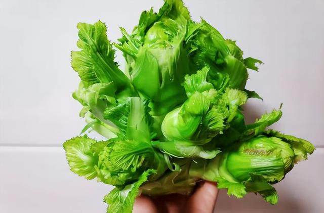 西洋菜是什么菜，西洋菜煲汤配什么材料煲汤好（就连南方人也未必全吃过）