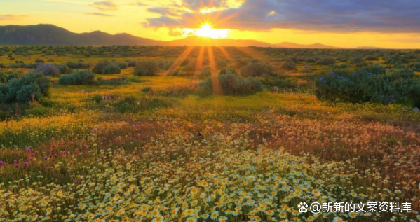 表达开心的句子，表达开心的短句子（活出快乐的自己的说说）