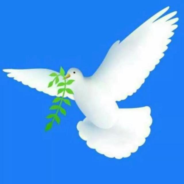 蒙难的蒙是什么意思，六年级语文《草原》一课中的考试热点