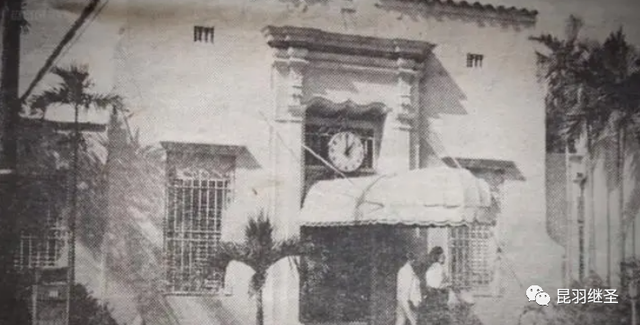 男子和海豚发生关系，南非一男子赏鲸差点被鲸鱼吞进嘴中（海豚殉情闭气自杀）