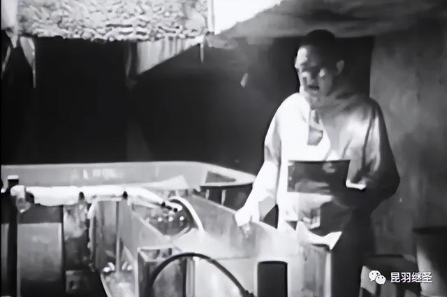 男子和海豚发生关系，南非一男子赏鲸差点被鲸鱼吞进嘴中（海豚殉情闭气自杀）