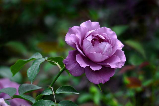 男生彻底放下后的表现，一个男生彻底放下你的表现（一个男人是不是在乎你）