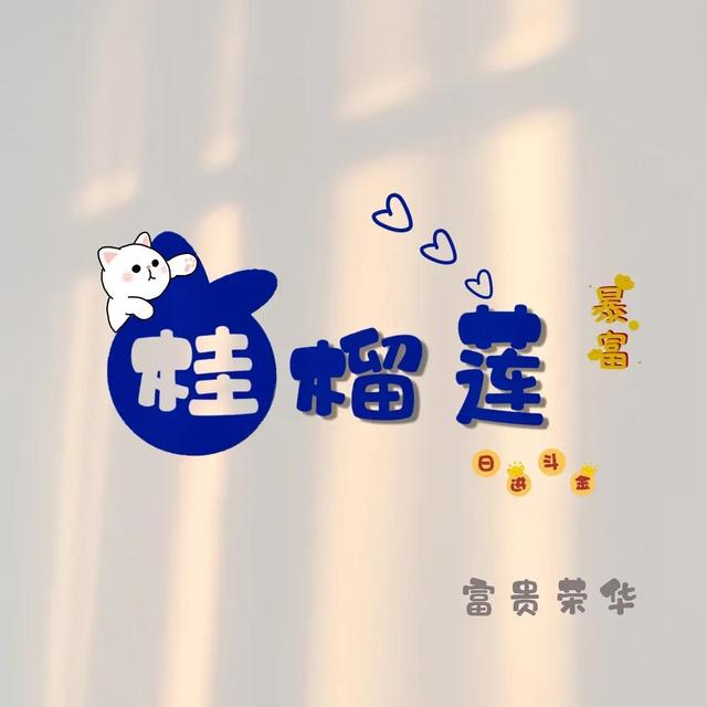 王姓谐音梗网名，王姓谐音游戏名（你的名字可以很有趣17）