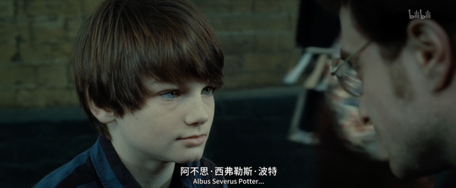 斯内普是好人还是坏人，《哈利波特》中斯内普是好的还是坏的（被嫌弃的斯内普的一生）