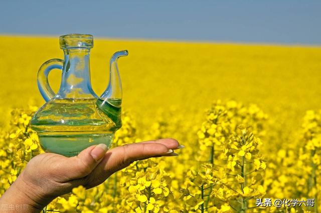 高硼硅玻璃是食品级吗，高硼硅玻璃是什么（我只用玻璃油壶）