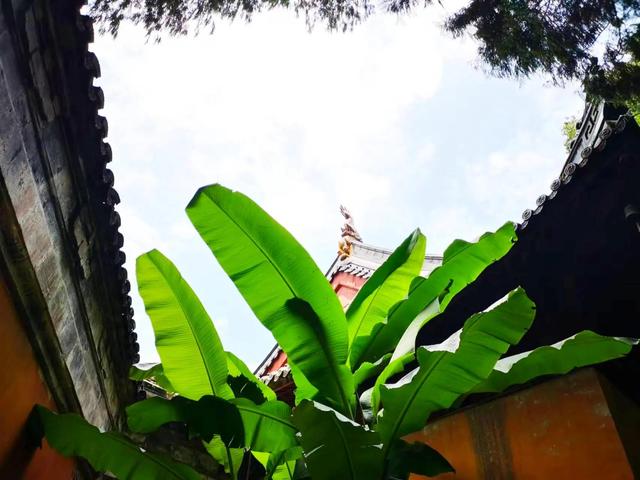 天台国清寺简介，天台山国清寺（天台国清寺）