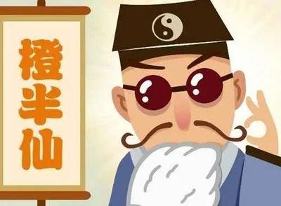 湖南刘汉大案，曾命黑老大照顾其子,暗中助黑帮将对手“灭门”