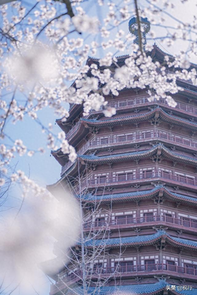 这里装着三里桃花十里春风，这个园区绝对是北京丰台山桃花顶流