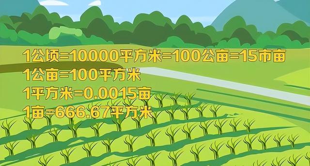 一公顷等于多少亩地，1公顷等于多少亩（一亩地到底有多大）