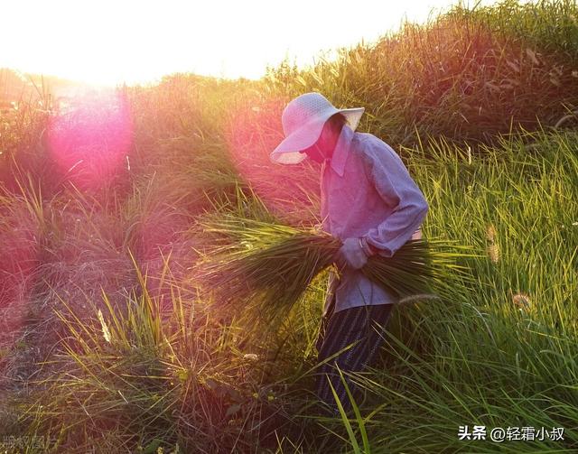 感恩父母的一段话，感恩父母的一句话20字（我要歌颂父母的爱情）