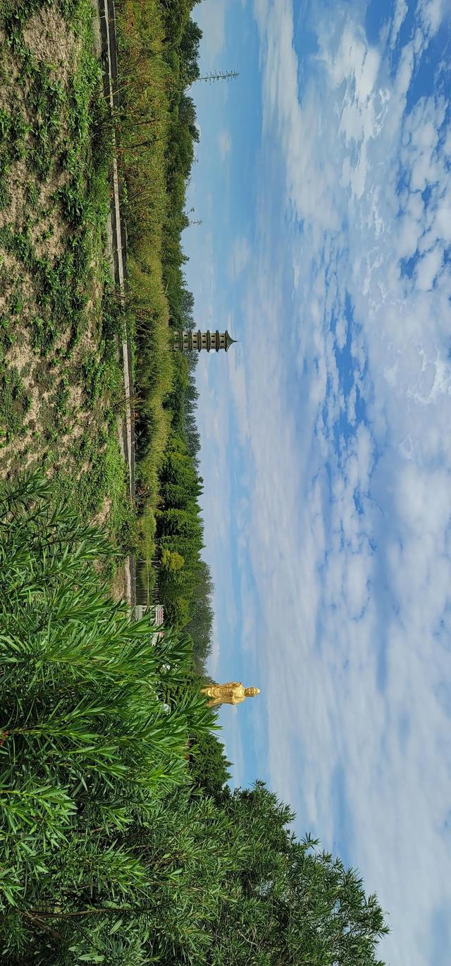 上海到青岛多远，上海到青岛的路程（上海青岛往返1400公里全程无高速沿途城市蜻蜓点水游）