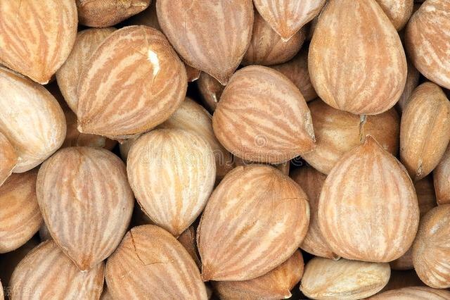 扁桃仁的功效与作用，扁桃仁的营养价值！（桃仁还有这些功效，你知道吗）