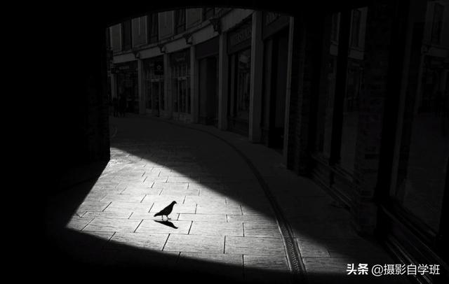 作业帮app不能拍照片怎么回事，作业帮的拍照功能不能用是怎么回事（教你随手拍有趣照片）