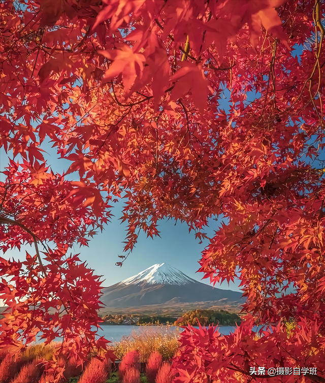 怎么拍照片好看，拍照怎么拍的好看（试试这9个教科书式摄影技巧）