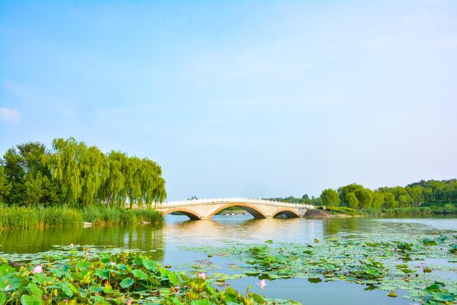 北京湿地公园有哪些景点好玩，北京公园推荐︱10个值得一去的免费公园