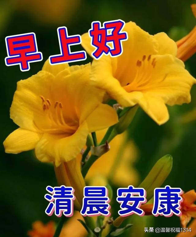 八个字珍惜友情的句子，珍惜友谊的句子八个字（6月8日感谢一成不变的友谊）