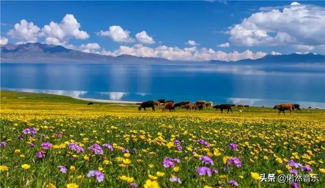 塞林木是什么意思，闽南语塞林木是什么意思（新疆这三大知名湖泊是否值得一游）