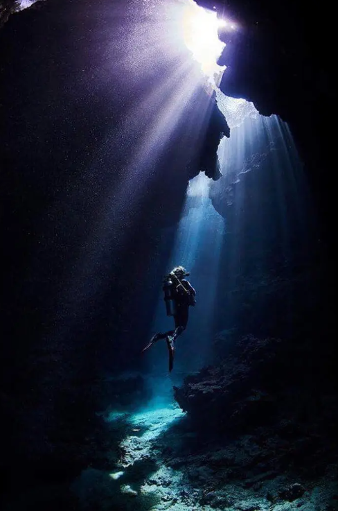 10000米恐怖深海鱼图片，恐怖的深海鱼类（海底一万米到底有多么恐怖）