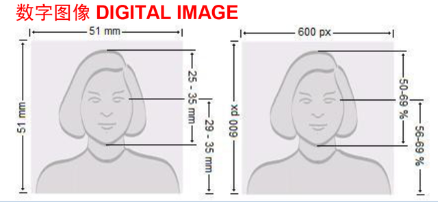证件照尺寸比例，证件照比例是几比几（常用证件照尺寸总结）