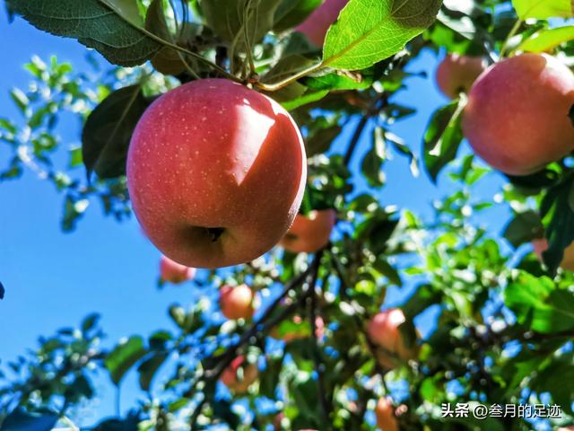 延庆自驾游必去十大景点，北京延庆一日自驾游攻略