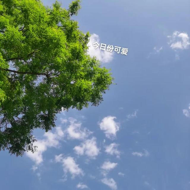 如何让自己快速成长，如何让自己快速成长（如何快速提升自己）