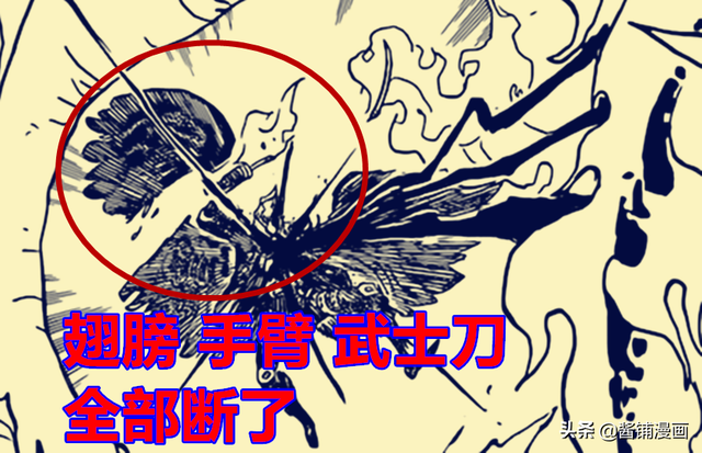 海贼王1036话最新情报，King轻易败北并且退场
