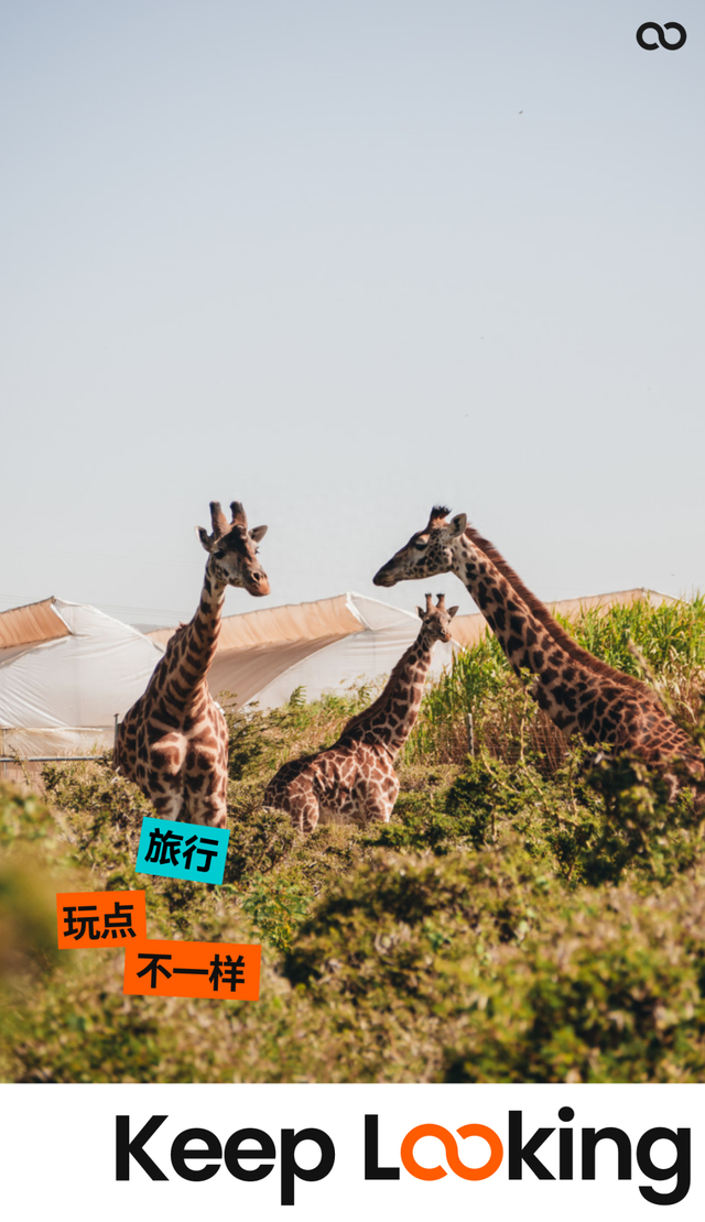 地理冷知识——肯尼亚