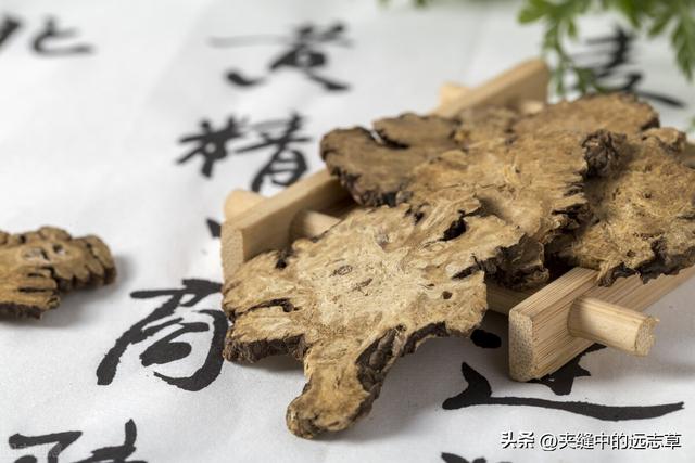 对心脏好的中药，治疗心脏病最好的中药是什么（送你十一味中药）