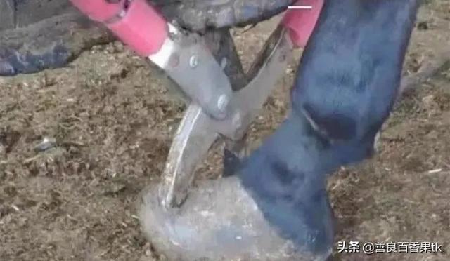 100个爆笑人名，历史上最搞笑的人物有哪些（网友给孩子起名，天下第一）