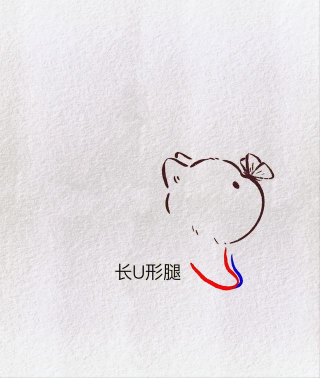 萌萌哒的小猫咪怎么画，萌萌哒小猫咪怎么画比较复杂点很大（用数字画出可爱的小猫）