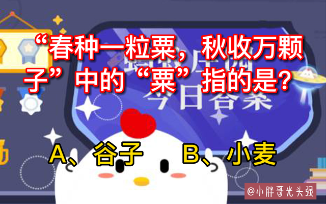 春种一粒粟的粟是指，春种一粒粟的粟指的是什么（秋收万颗子”中的“粟”指的是什么）