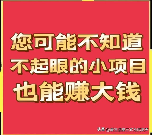 农村不起眼的商机，藏在农村不起眼的暴利商机有哪些（四个少有人做的农村项目）