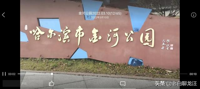 哈尔滨群力湿地公园，群力新区十一大公园