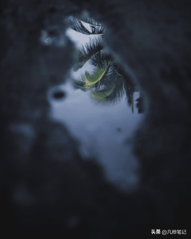 青色和蓝色的区别图片，青色和蓝色是什么颜色的图片（在照片中创造性地使用色调对比）