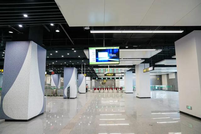 豹龟结石，昆明地铁5号线，首！发！见（肾结石会有啥症状）