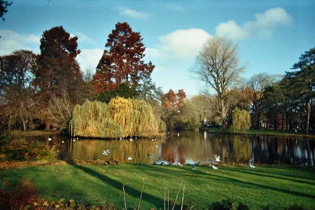 男人离婚了还会睡前妻么，男人一般对原配好还是二婚好（为什么很多夫妻到了中年就会分开睡）