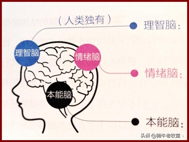 为什么越傻的人越容易成功，为什么看着越傻的人越聪明（干了一件“很傻”的事）