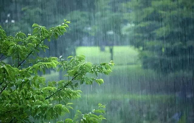 雨点儿教学设计，雨点儿教学设计第二课时及课堂实录（语文老师上课教案和笔记分享）