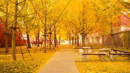 赞美祖国大好河山的诗20首，描写祖国大好河山的诗句（20首诗词，表白祖国！）