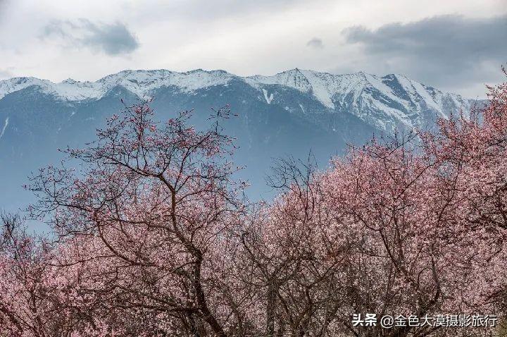 成都弥摄影（2023年3月24日）