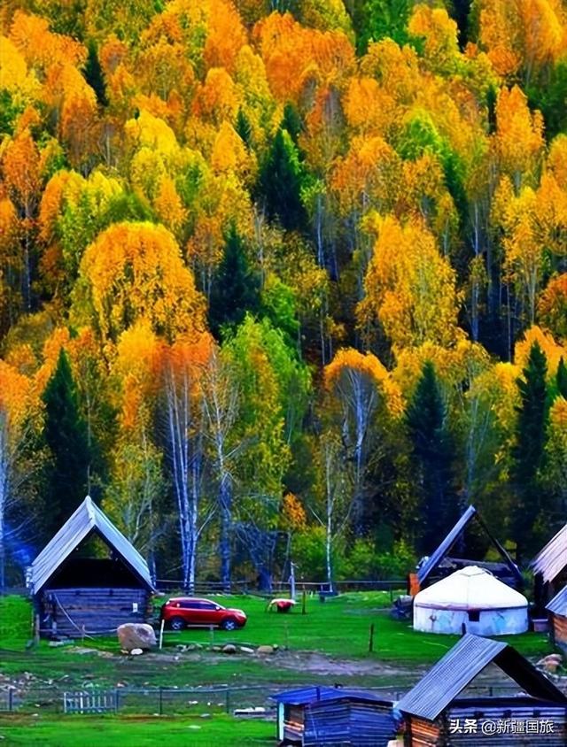 胡天八月即飞雪上一句，胡天八月即飞雪上一句诗句是什么（来这个中国西部最北端的乡小住一个月）